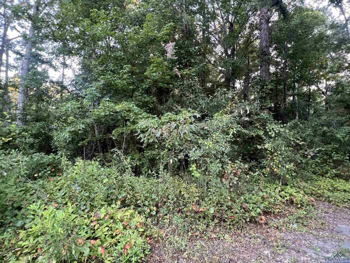 photo 1: TBD Willowood Trail, Gilmer TX 75645