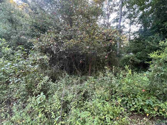 photo 2: TBD Willowood Trail, Gilmer TX 75645