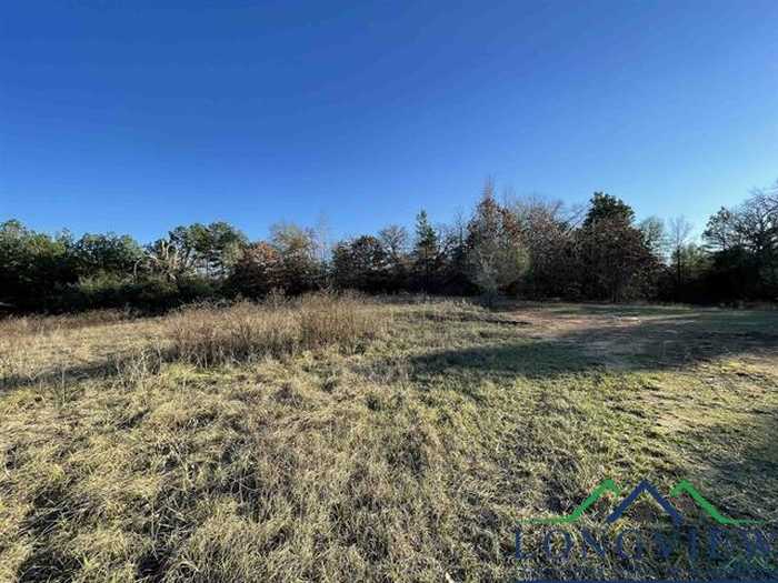 photo 1: 947 Almond Road, Big Sandy TX 75755