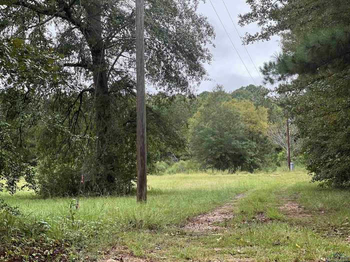 photo 3: TBD Private Road 1332, Marshall TX 75642