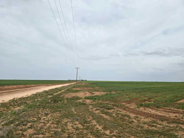 photo 19: County Road 24, Tahoka TX 79373