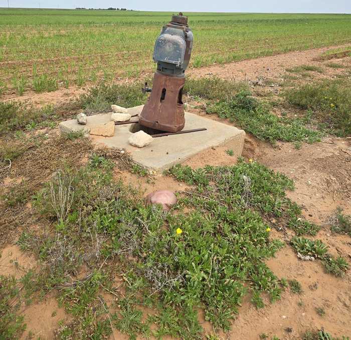 photo 23: County Road 24, Post TX 79356