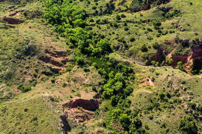 photo 18: County Road 160, Southland TX 79364