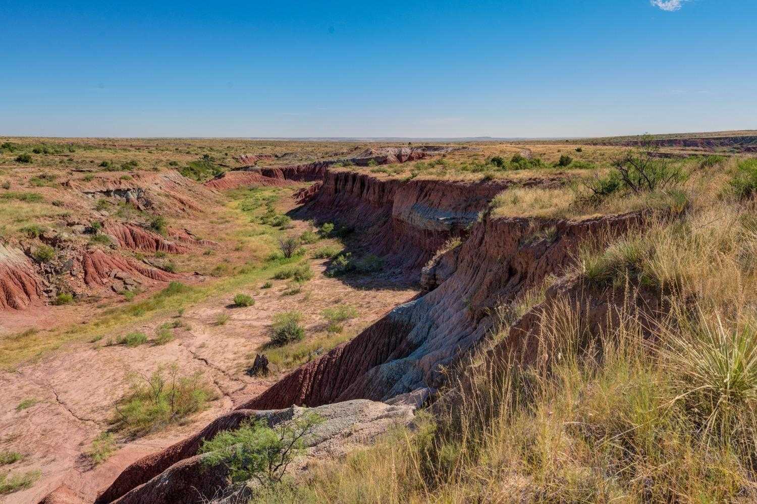 photo 3: Sand Creek, Southland TX 79364