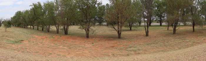 photo 2: US Highway 84, Muleshoe TX 79347