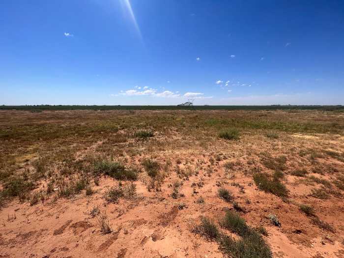 photo 2: LOT FM 211, New Home TX 79383