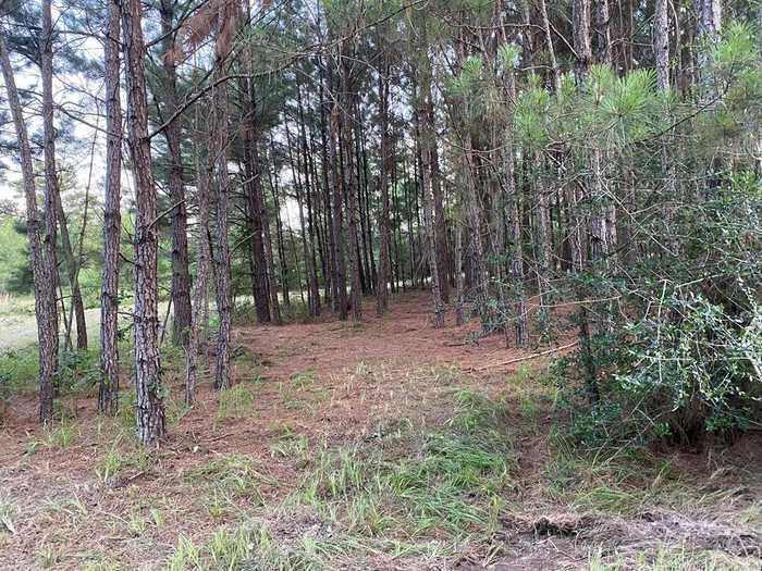 photo 2: Lot 1 CP5 Cypress Point Drive, Huntington TX 75949