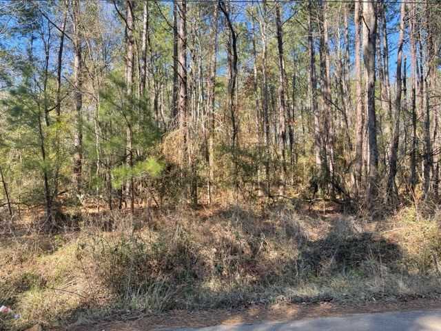 photo 3: 81554 Pickard Road, Zavalla TX 75980