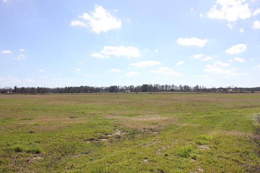 photo 1: Cotton Thompson Road, Lufkin TX 75901