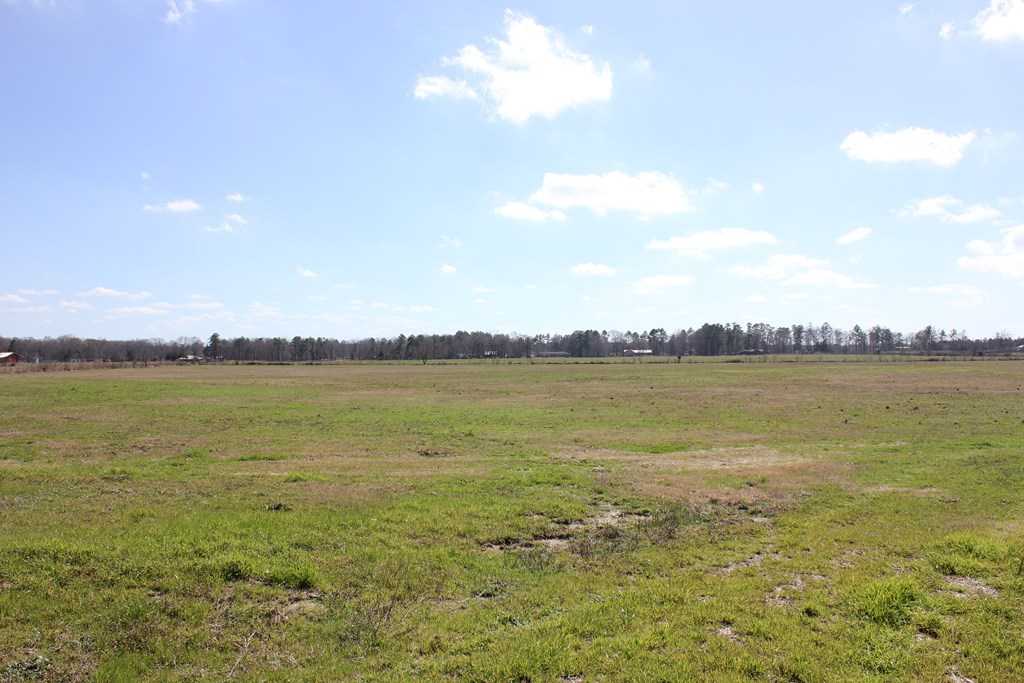 photo 2: Cotton Thompson Road, Lufkin TX 75901