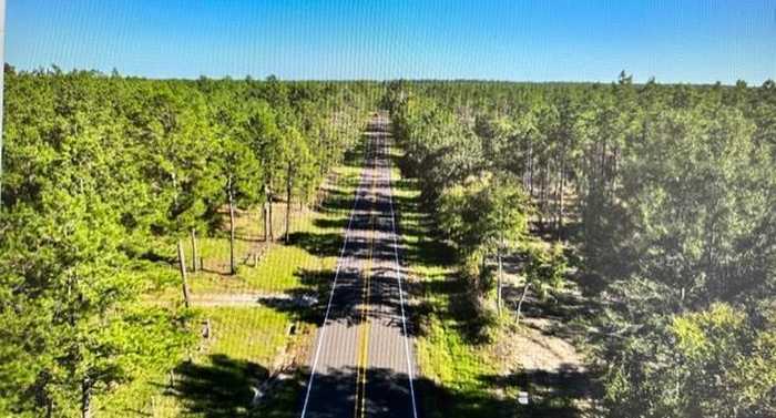 photo 1: Tract 3-A FM 357, Apple Springs TX 75926