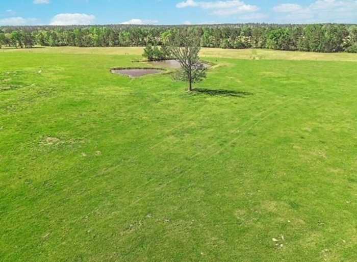 photo 9: Lot 3 Sullivan Drive, Apple Springs TX 75926