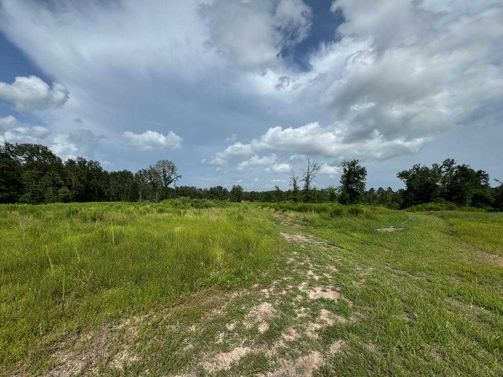 photo 1: Timber Ranch Road, Apple Springs TX 75901