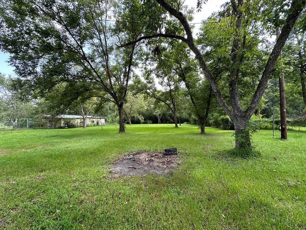 photo 2: 248 W Maple Street, Huntington TX 75949