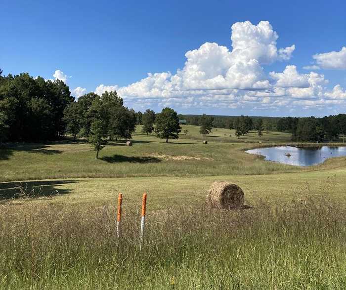 photo 53: 2221 State Highway 147 S, Zavalla TX 75980