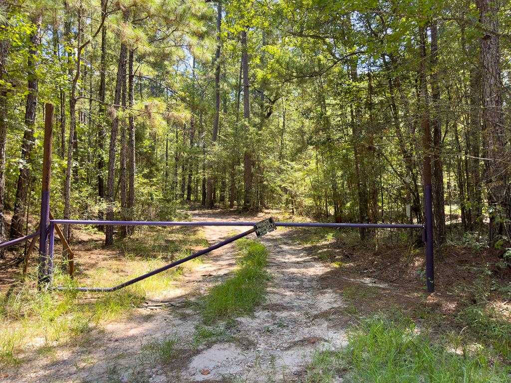 photo 1: Tract 4.4 Frazier Road, Zavalla TX 75980