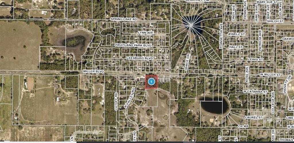 photo 2: 1207 W MILLER STREET, FRUITLAND PARK FL 34731