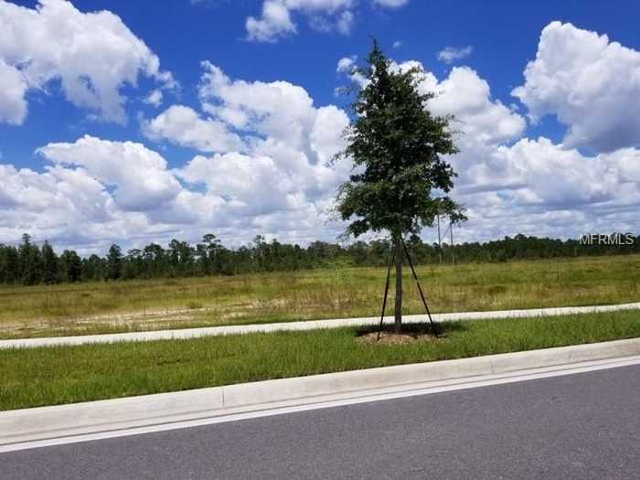 photo 2: APOPKA VINELAND ROAD, ORLANDO FL 32821