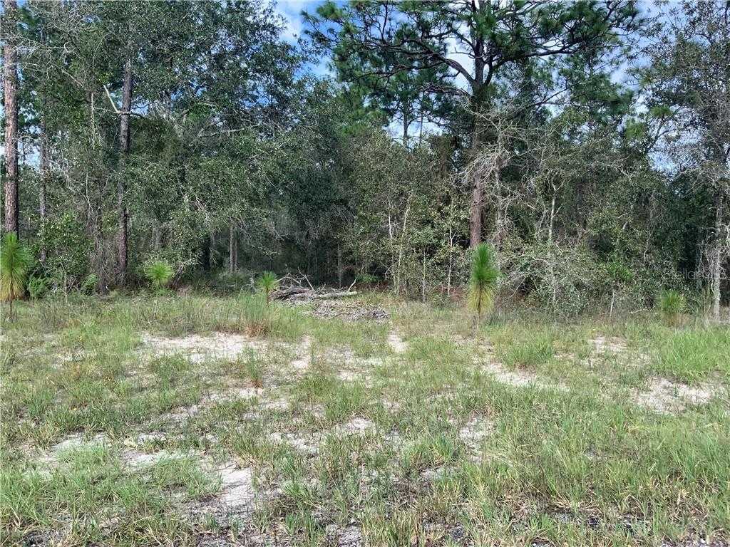 photo 1: SE 139TH TERRACE Unit Lot 10, MORRISTON FL 32668