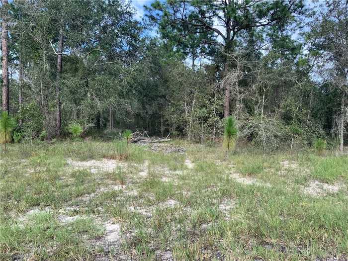 photo 2: SE 139TH TERRACE Unit Lot 14, MORRISTON FL 32668