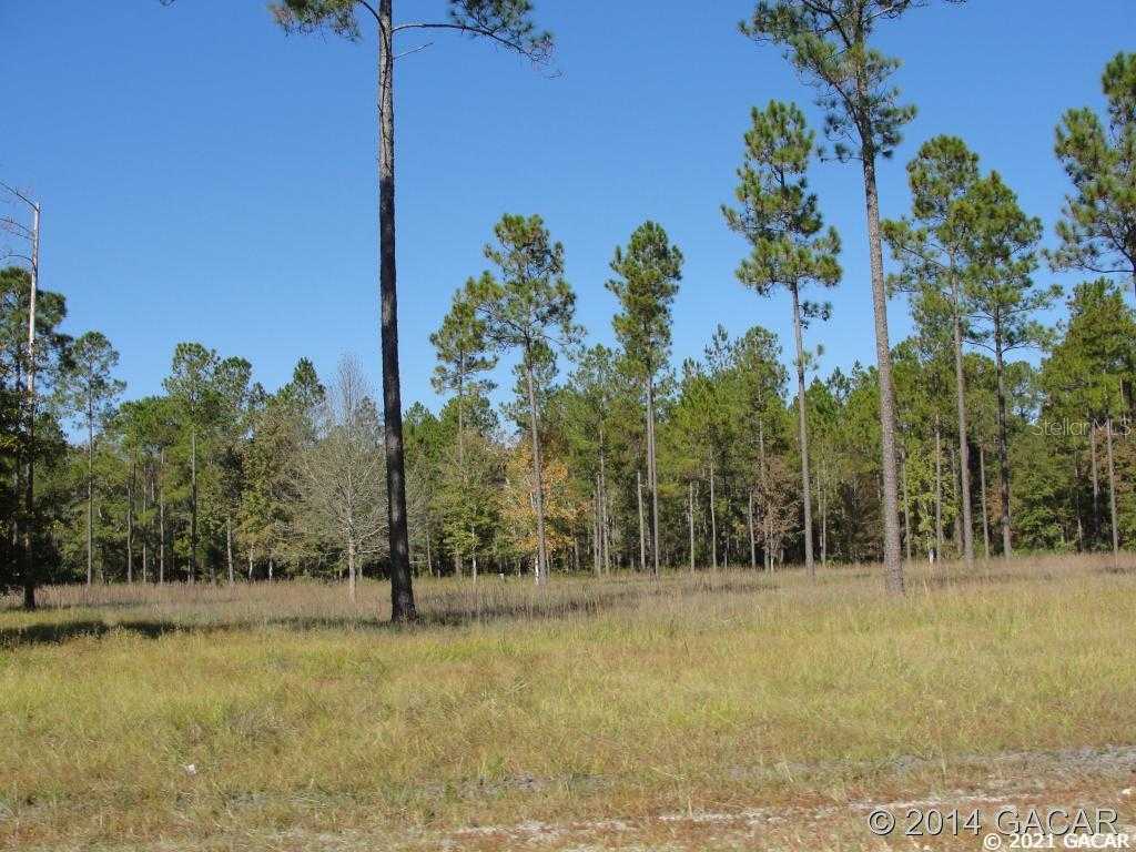 photo 3: TBD SE 64TH LOT#15 STREET, LAKE BUTLER FL 32054