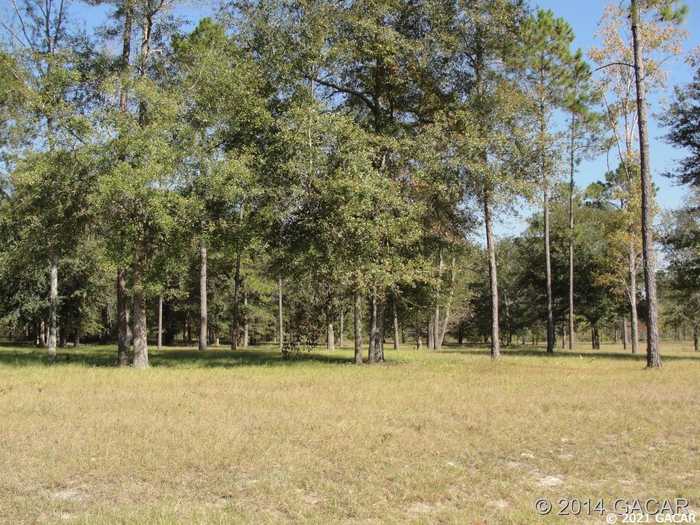 photo 8: TBD SE 64TH LOT#15 STREET, LAKE BUTLER FL 32054