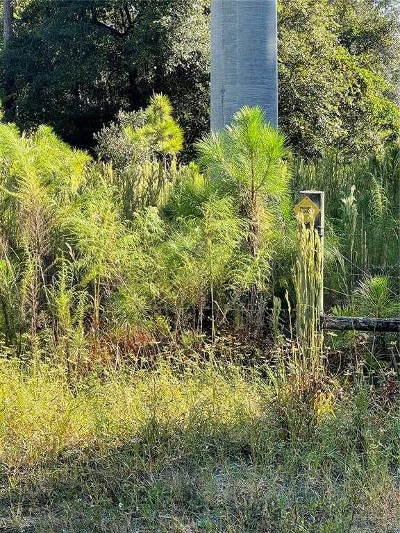 photo 2: OLD TRAIN ROAD, DELTONA FL 32738