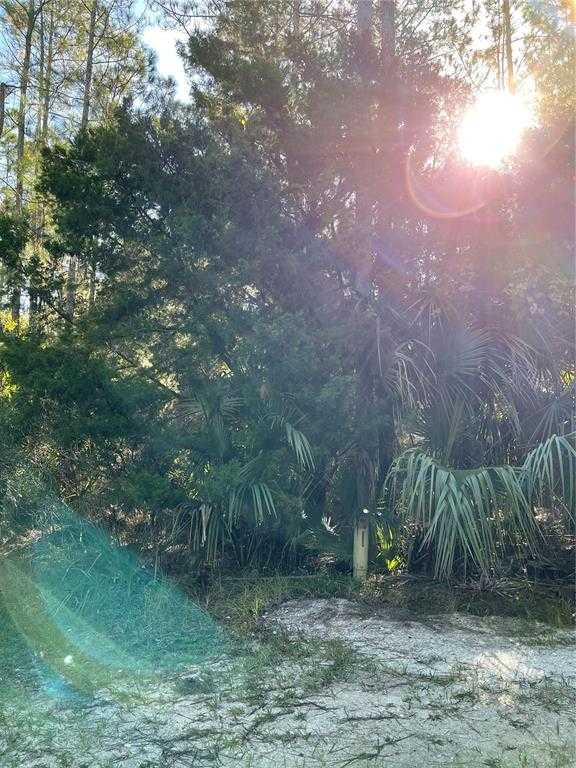 photo 3: OLD TRAIN ROAD, DELTONA FL 32738