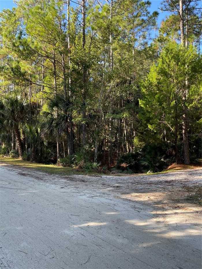 photo 6: OLD TRAIN ROAD, DELTONA FL 32738