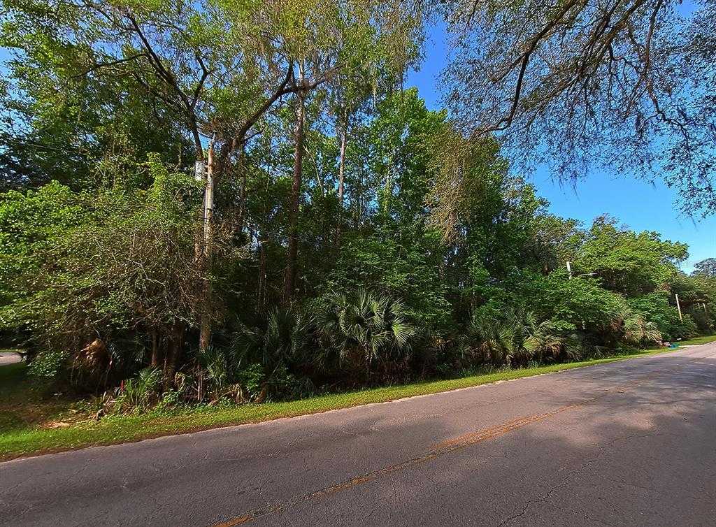 photo 1: TUSCAWILLA ROAD, MICANOPY FL 32667