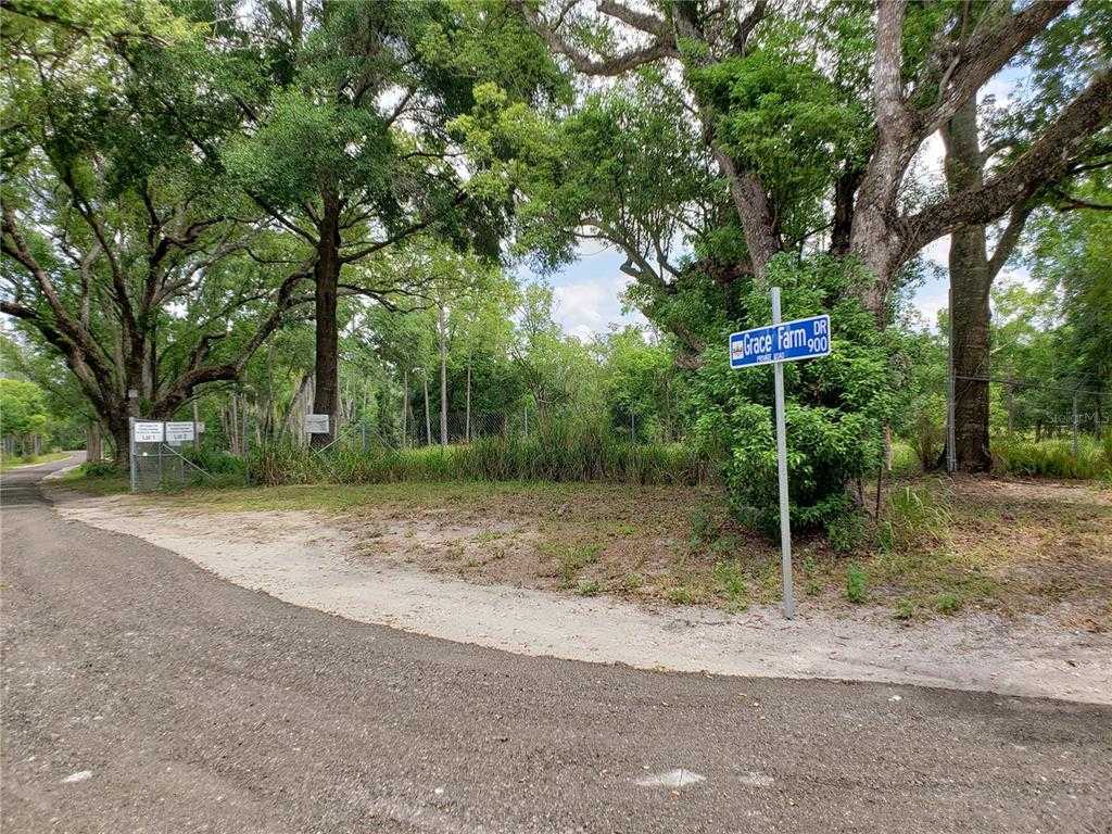 photo 1: 997 GRACE FARM DRIVE, LUTZ FL 33549