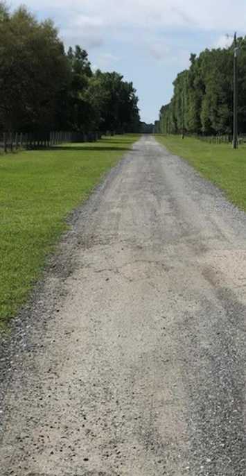 photo 2: NE 155TH AVENUE, WILLISTON FL 32696