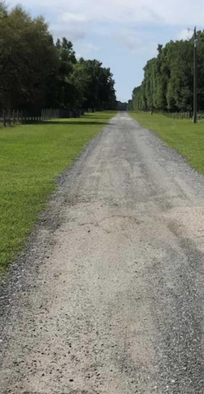 photo 2: NE 155TH AVENUE, WILLISTON FL 32696