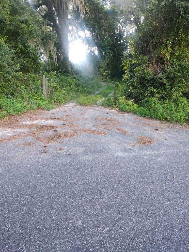 photo 2: NW CANSA ROAD, LAKE CITY FL 32055