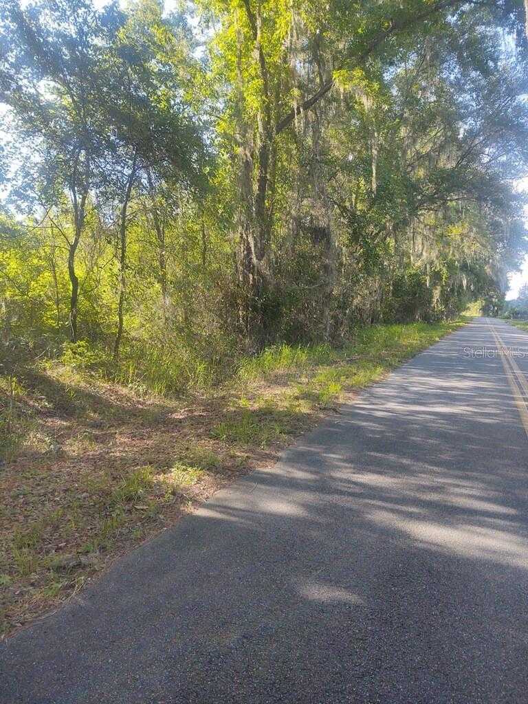 photo 3: NW CANSA ROAD, LAKE CITY FL 32055