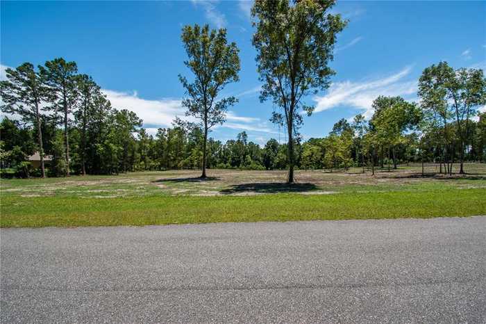 photo 2: NW 142ND STREET, WILLISTON FL 32696