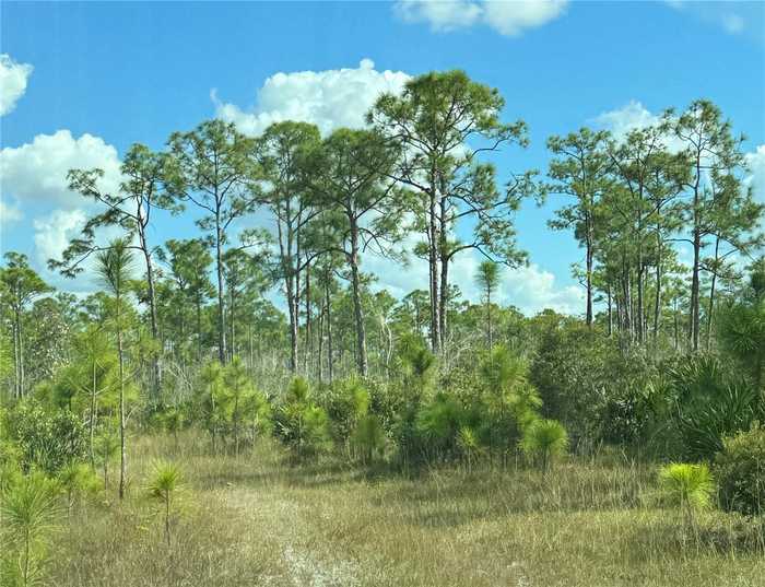 photo 1: 17480 BURNT STORE ROAD, PUNTA GORDA FL 33955