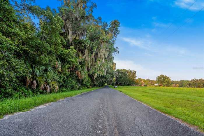 photo 13: NW 193RD STREET, MICANOPY FL 32667