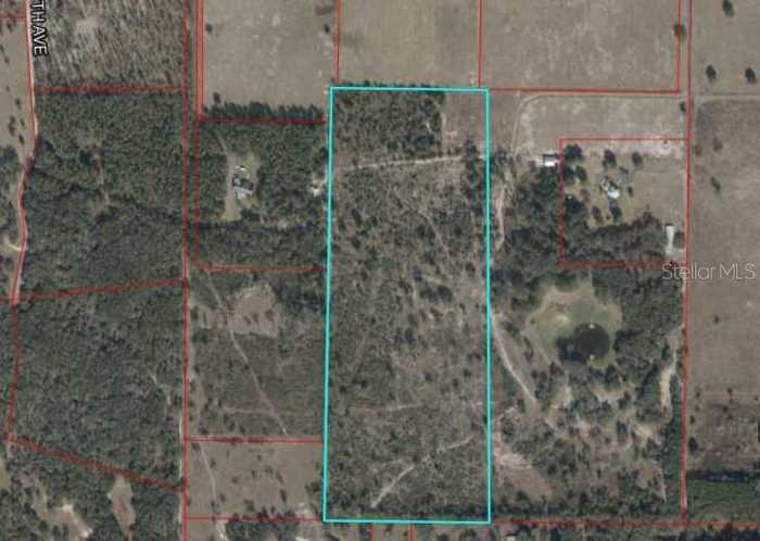 photo 1: TBD NE 75TH STREET, WILLISTON FL 32696