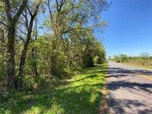 photo 1: TBD NE 85TH ST & HIGHWAY 41, WILLISTON FL 32696