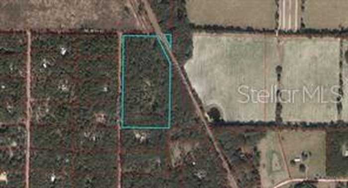 photo 2: TBD NE 85TH ST & HIGHWAY 41, WILLISTON FL 32696