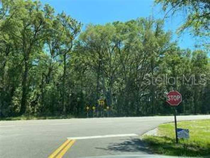 photo 8: TBD NE 85TH ST & HIGHWAY 41, WILLISTON FL 32696