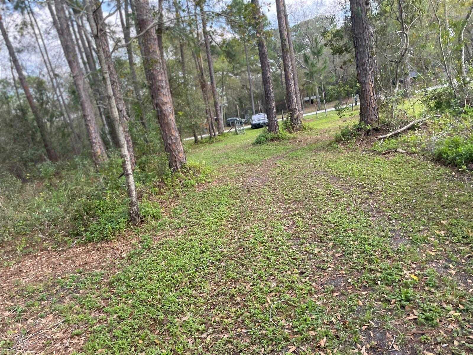 photo 2: 6034 LAKESIDE DRIVE, LUTZ FL 33558