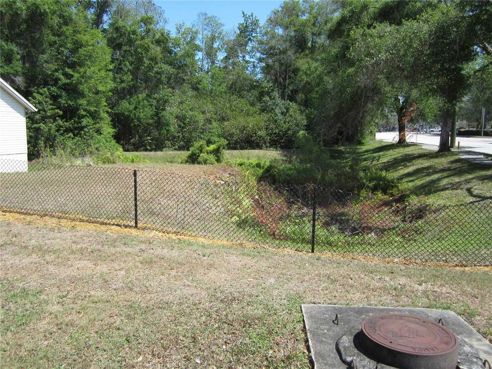 photo 2: 209 CRYSTAL GROVE BOULEVARD, LUTZ FL 33548