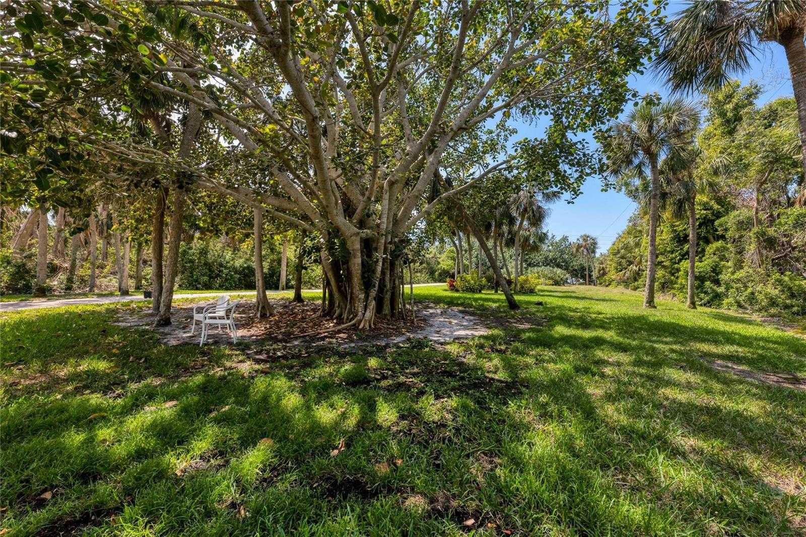 photo 3: 7505 MANASOTA KEY ROAD, ENGLEWOOD FL 34223