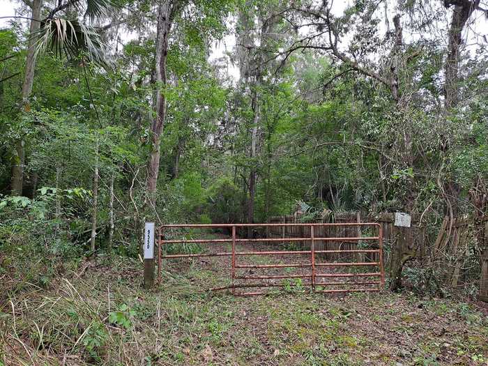 photo 2: 9550 NW 230 STREET E, MICANOPY FL 32667