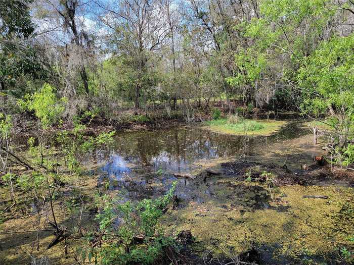 photo 7: 1 Acre BELL LAKE ROAD, LAND O LAKES FL 34639