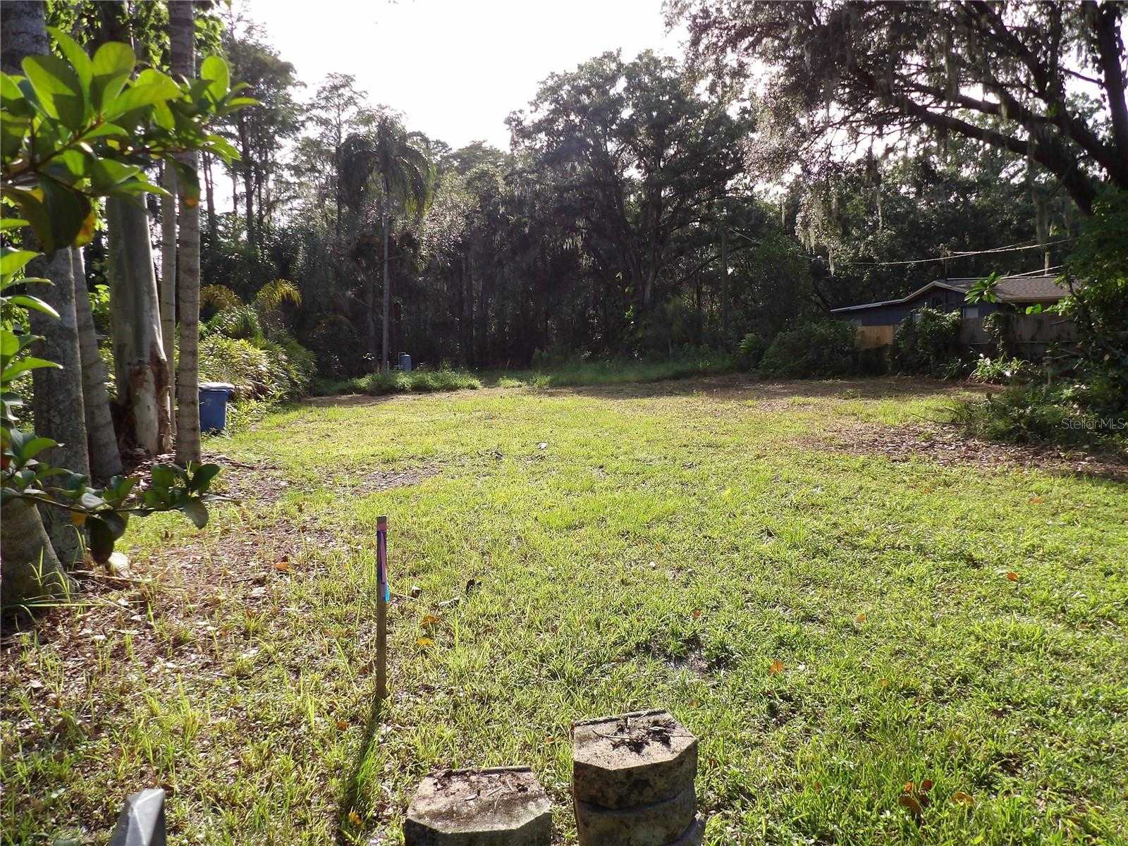 photo 2: 17506 DARBY LANE, LUTZ FL 33558