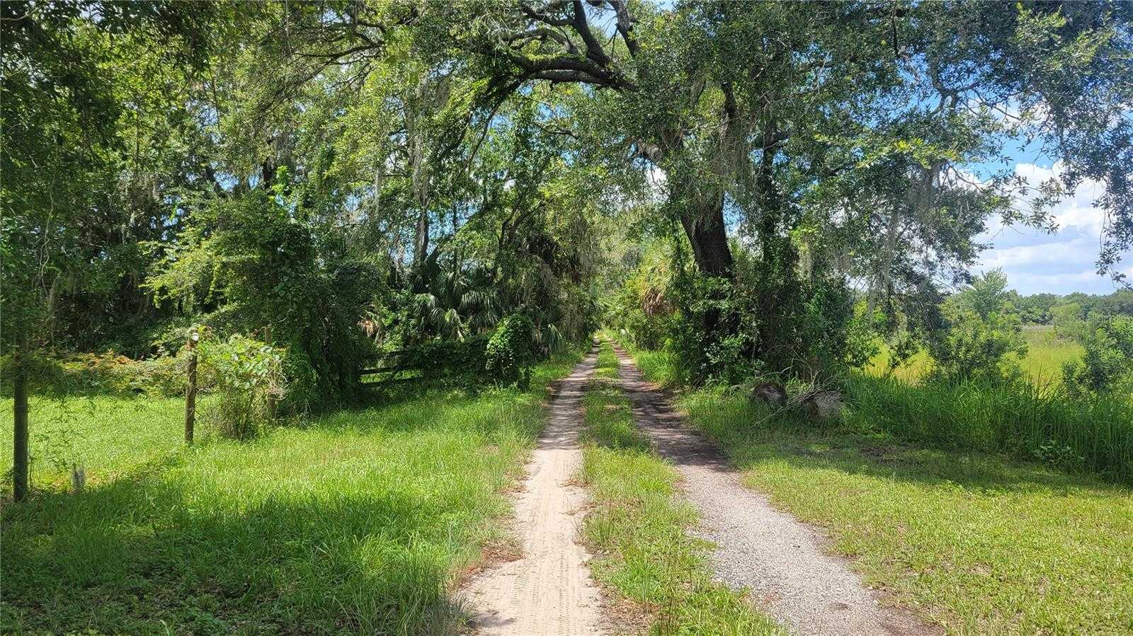 photo 2: RANCH ROAD, BRANDON FL 33511