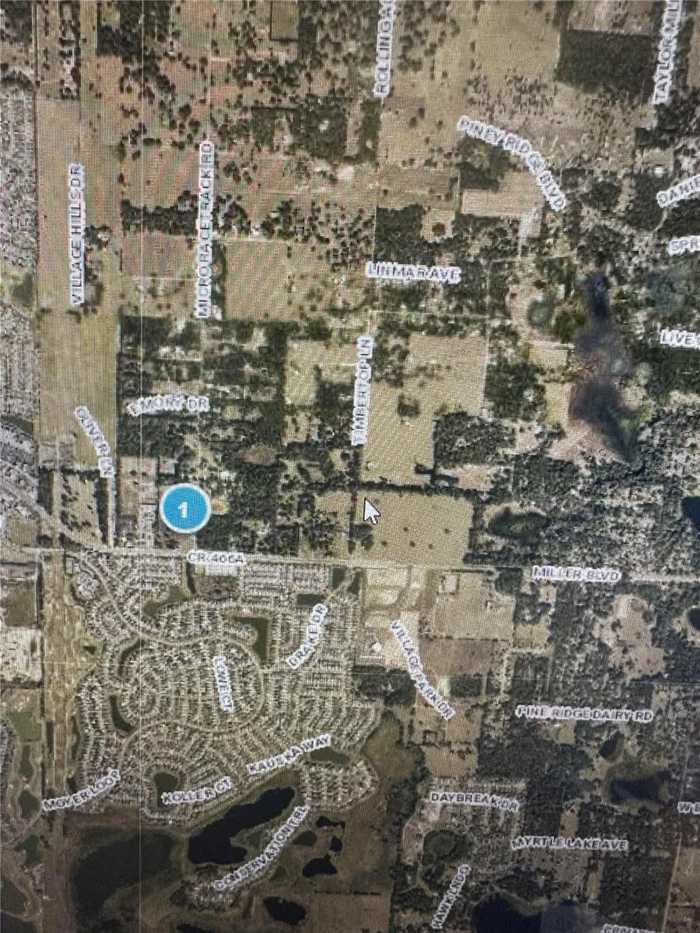 photo 2: 35347 MICRO RACETRACK ROAD, FRUITLAND PARK FL 34731